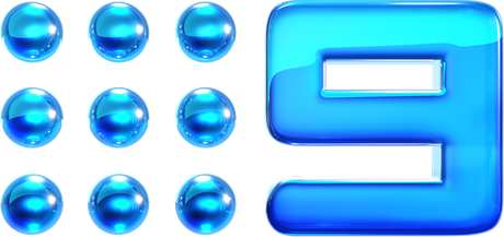 Client 13 Logo